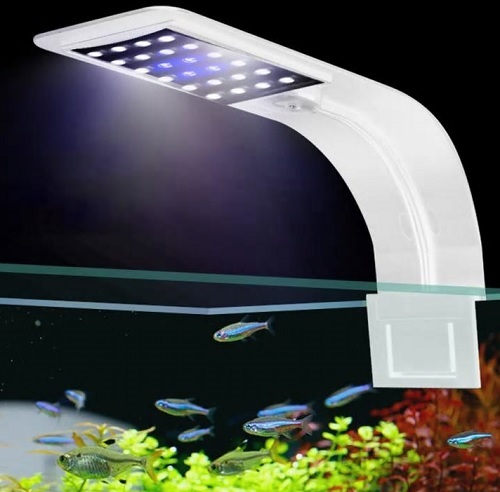 Lucky statistieken Mart LED Clip-On Lampen: Aquarium Clip On LED lamp Wit (witte & blauwe leds)